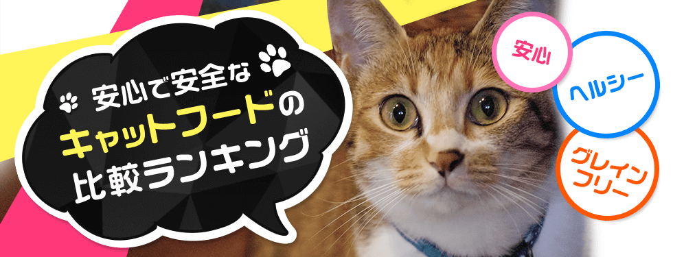 老舗アイシア社のキャットフード 黒缶 の評判と評価は キャットフードのabc