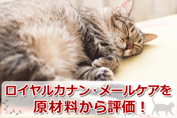 去勢猫用ロイヤルカナン メールケア を評価 口コミ 評判はどう キャットフードのabc