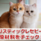 日本の猫専用？ホリスティックレセピーの口コミと原料評価