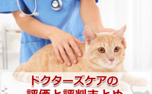 ドクターズケアの評価と評判まとめ