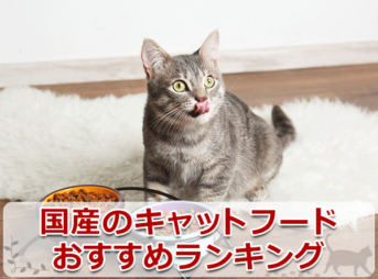国産のキャットフードおすすめランキング