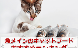 魚メインのキャットフードのおすすめランキング