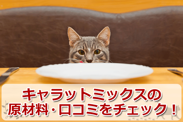 キャラットミックスは安全な猫餌？原材料と評判をチェック