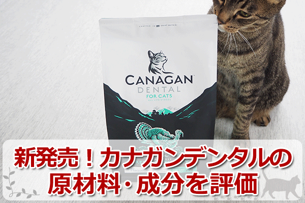 SALE／75%OFF】 猫用 カナガンデンタルキャットフード ターキー 1.5kg