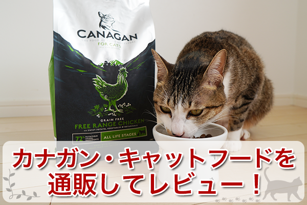 超大特価 カナガンキャットフードチキン （6袋セット） 猫用品